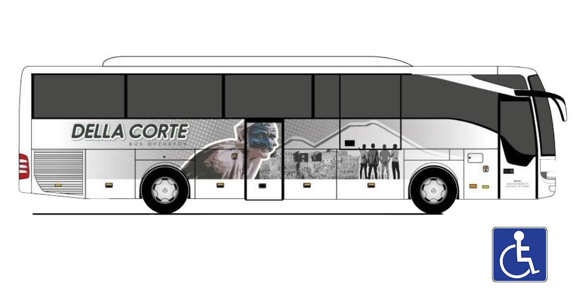 noleggio bus disabili gita